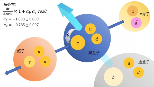 我校粒子物理团队与合作者完成重